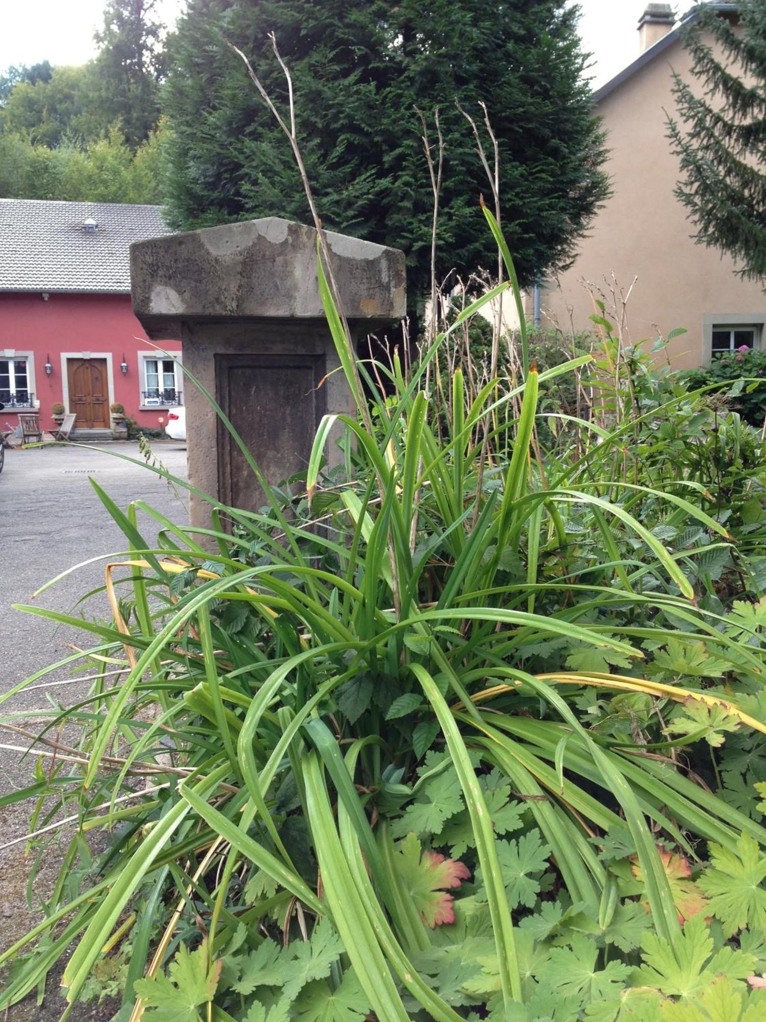 Logis Hotel Domaine Du Moulin 圣阿沃尔德 外观 照片
