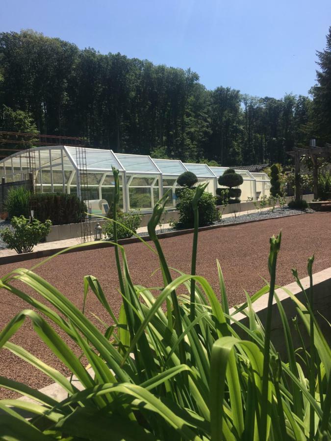 Logis Hotel Domaine Du Moulin 圣阿沃尔德 外观 照片